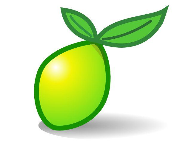 Lime Survey